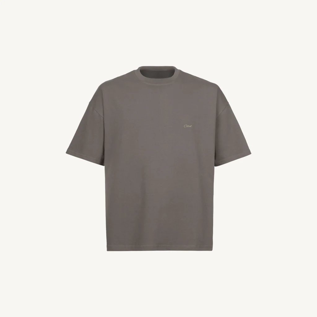CITEDGT Pigment Grey Oversized Boxy Tee.