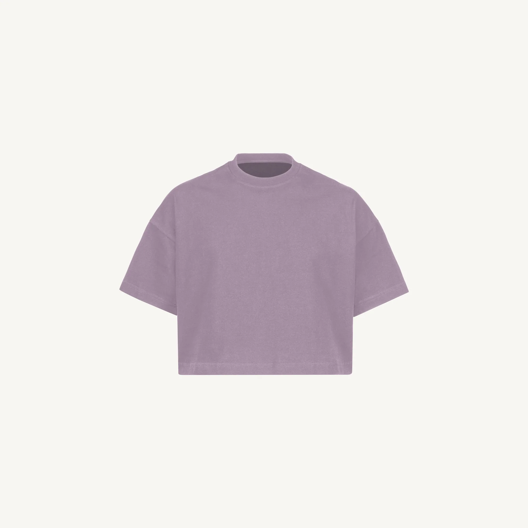 Cropped Oversized Tee Embroidered Sample. - Image 5