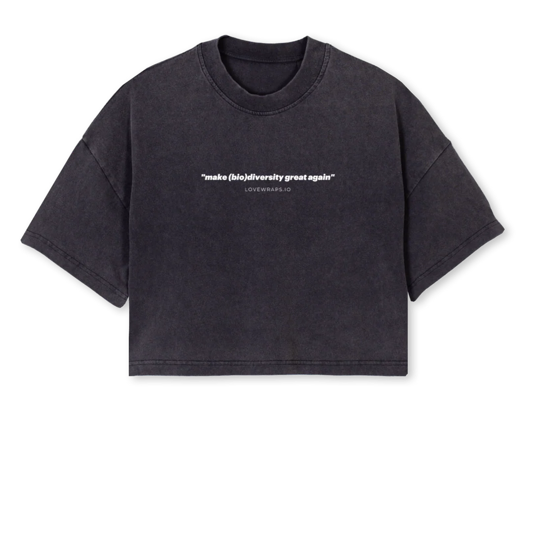 FEWLW Vintage Black Cropped Oversized Tee.