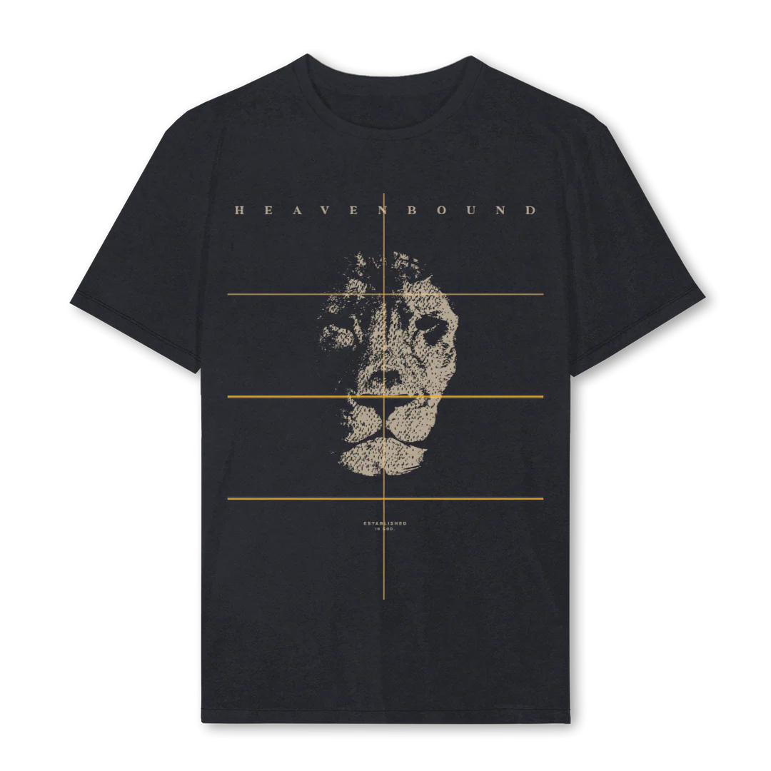 HBTIGERVERSONE Vintage Black Regular Tee.