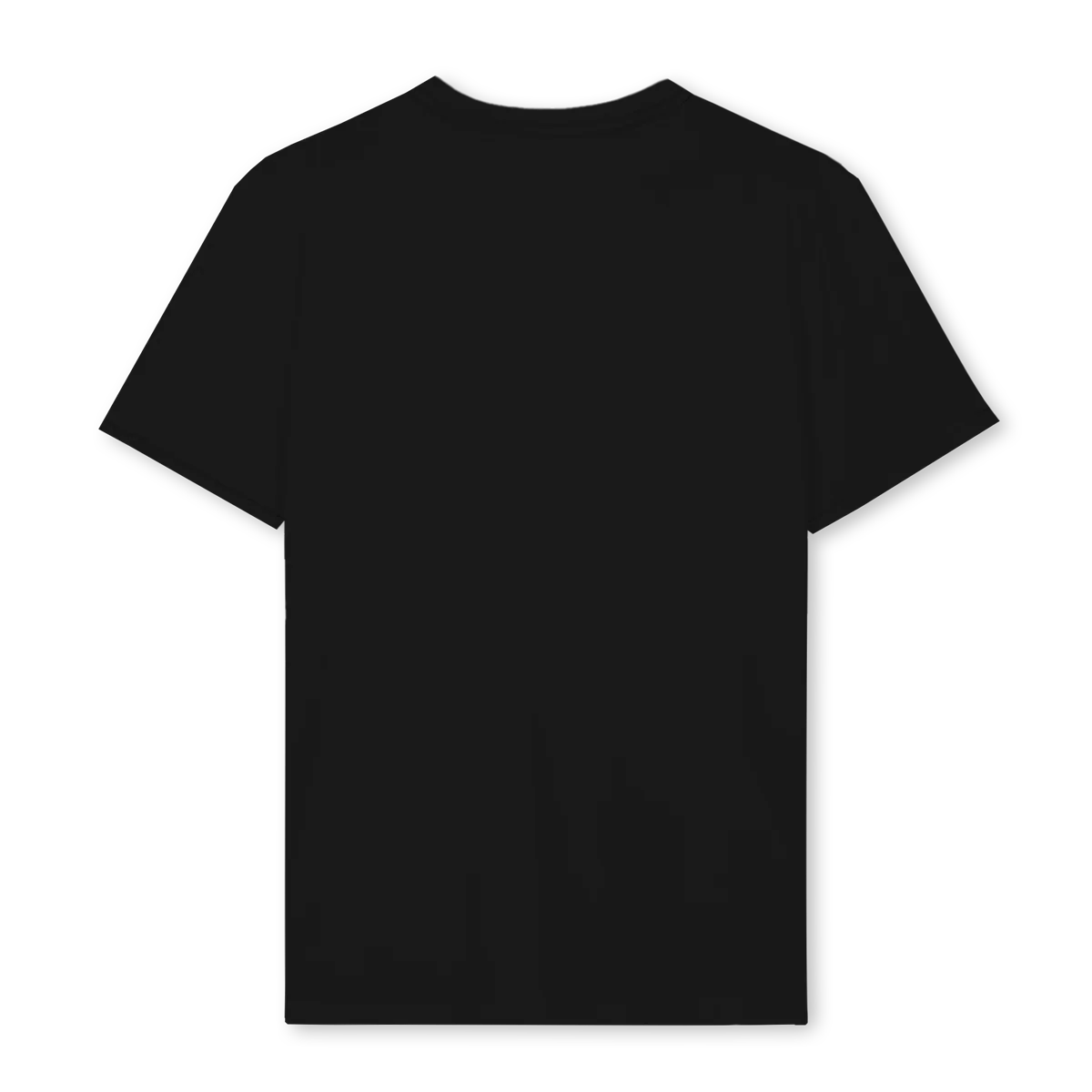 PALACIAOPARIS BLANC Black Regular Tee. - Image 2