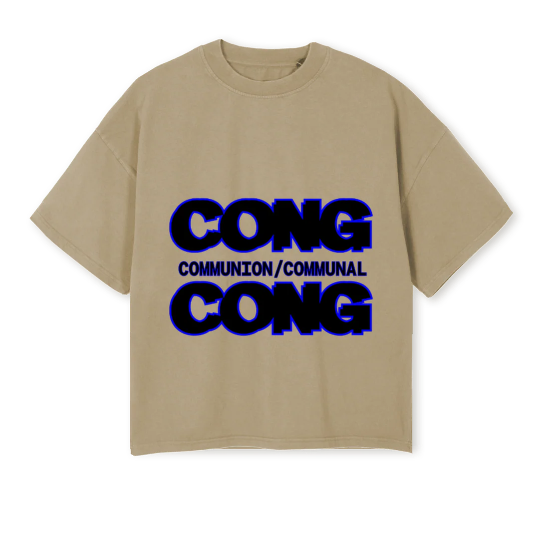 PROV TISHI SS Vintage Dune Oversized Boxy Tee.