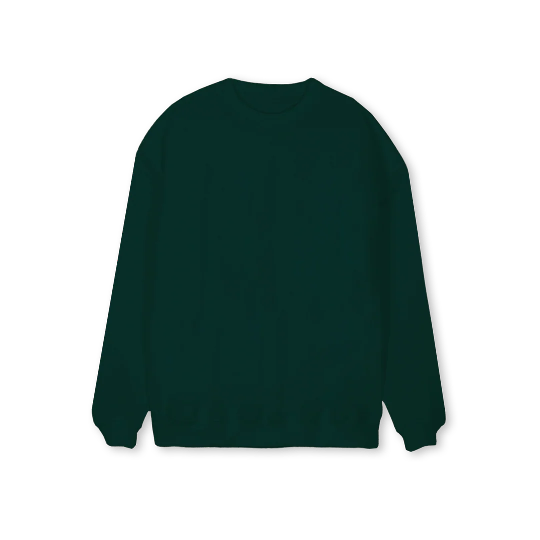 Regular Crewneck Sweater Printed Sample.