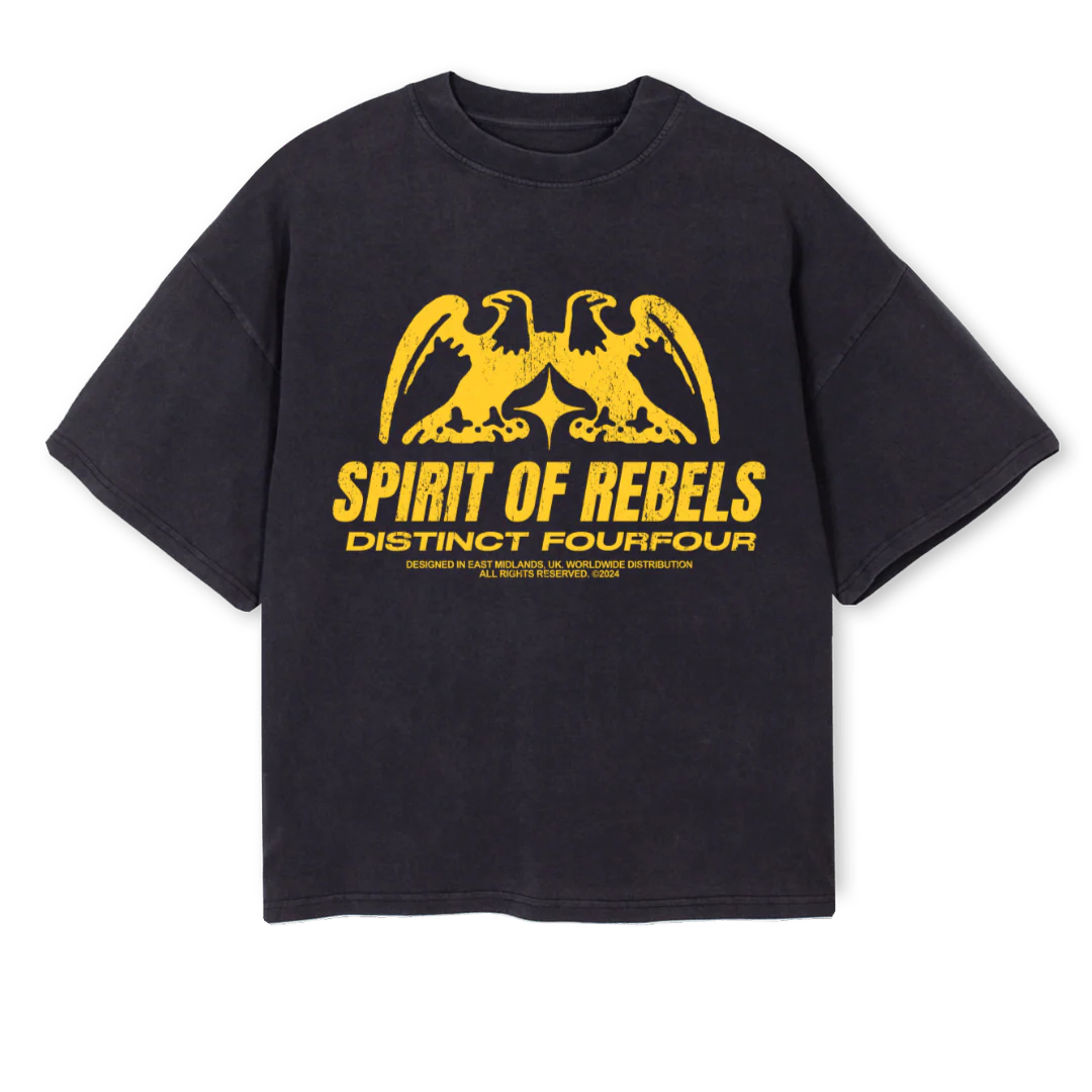 SPIRITOFREB Vintage Black Oversized Boxy Tee.