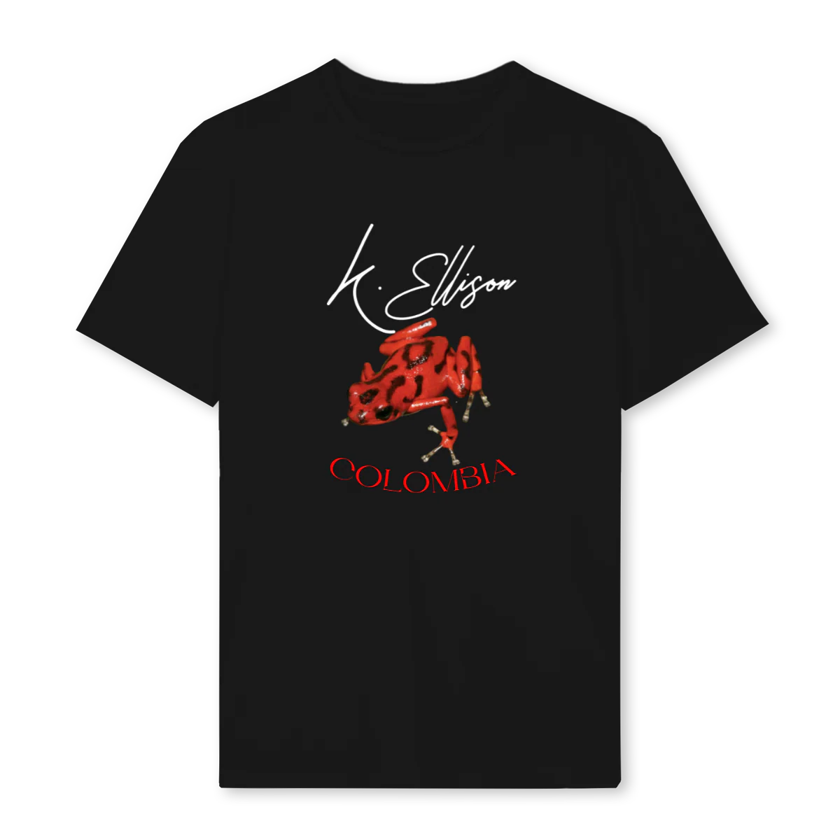 STANFROG Black Regular Tee.